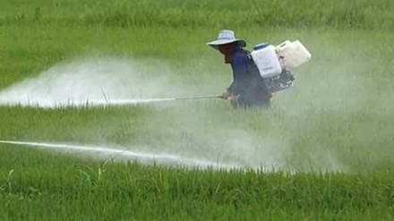 samples seeds, fertilizers, pesticides uncertified,