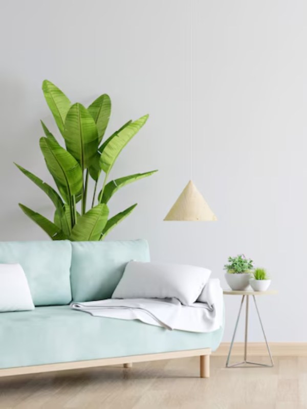 Without AC Keep House Cool Follow Tips