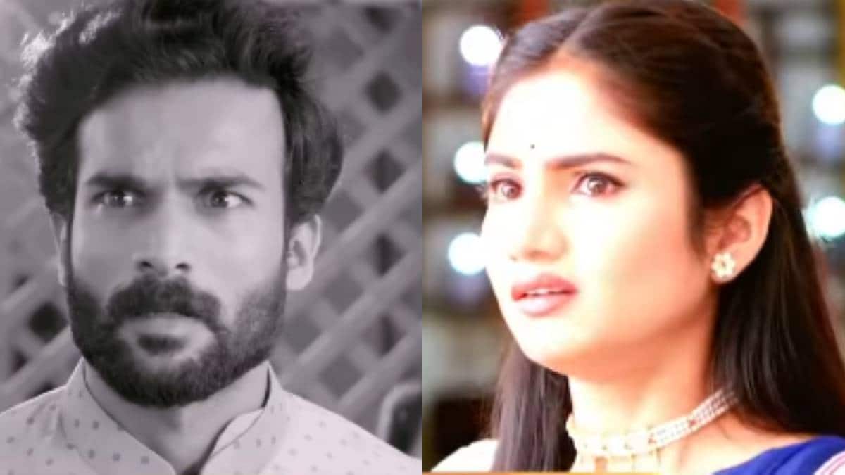 Yed Lagla Premacha Serial New Promo Out Raya come to know Harsh Truth about Manjiri what will be his decision now