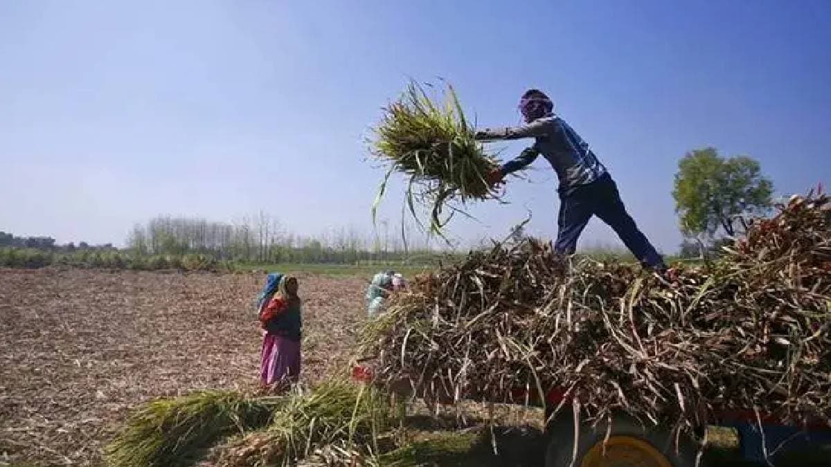 Ahilyanagar district agricultural credit supply decreases