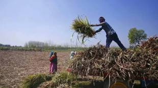 Ahilyanagar district agricultural credit supply decreases