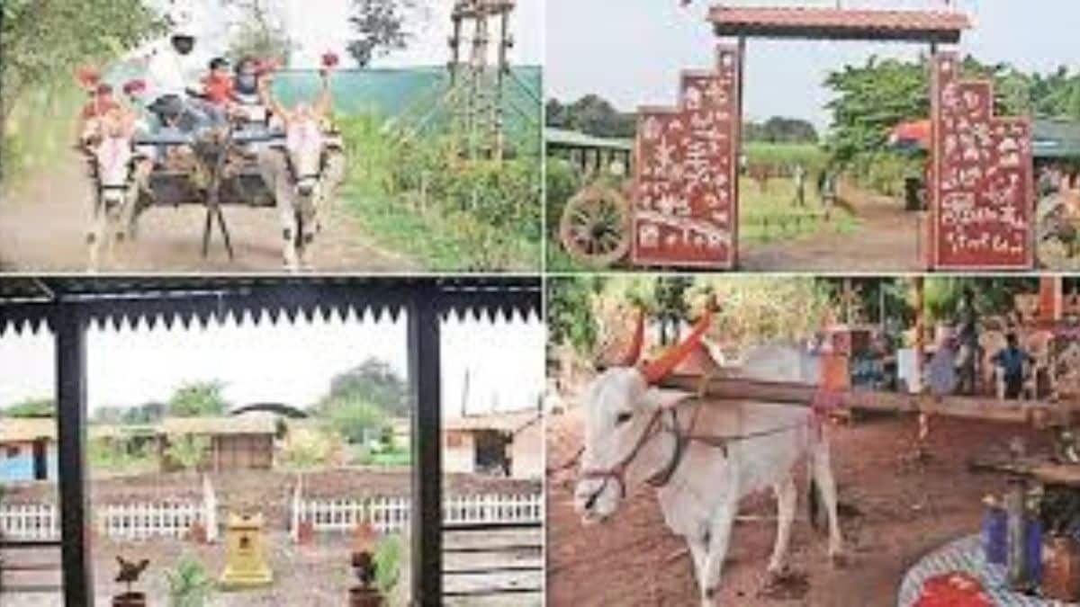 agro tourism opportunity for farmers