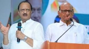 malegaon sugar election ajit pawar sharad pawar