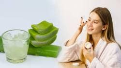 Aloe Vera Gel : रात्री झोपण्यापूर्वी नाईट क्रीमऐवजी फक्त ‘ही’ गोष्ट लावा; चेहऱ्याला कसा होईल फायदा? नक्की वाचा