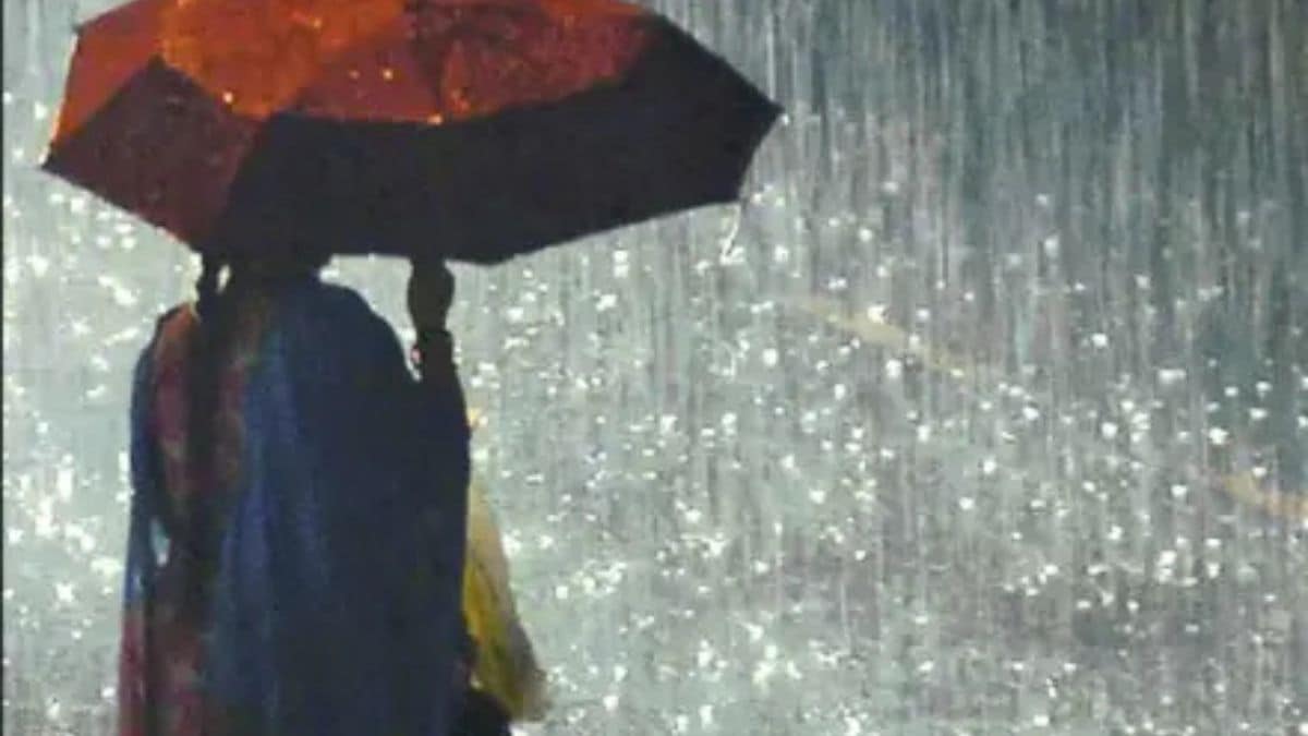 rain in the coming 24 hours in Vidarbha,