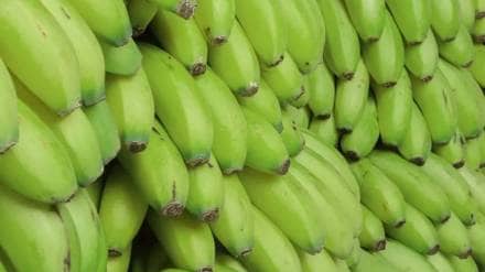 Khandesh banana price increase news in marathi