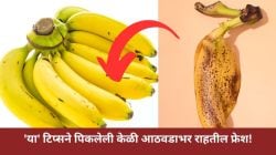 उन्हाळ्यात बाजारातून केळी घरी आणल्यानंतर लवकर खराब होतात? फक्त करा ‘हे’ सोपे उपाय; आठवडाभर राहतील ताजी