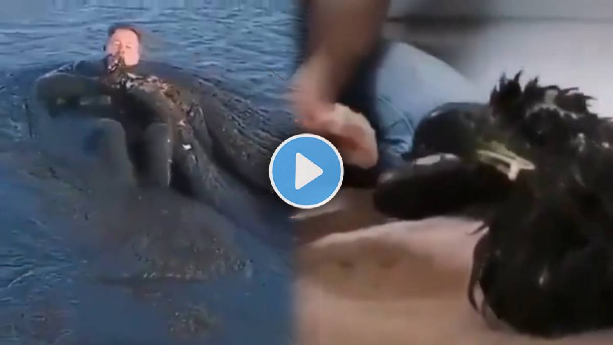 bird viral video Eagle got stucked into Swamp
