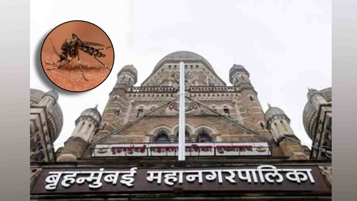 mosquito breeding site identification in Mumbai by bmc news in marathi