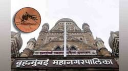 मुंबईत एडिस डासांची २ लाखांहून अधिक उत्पत्तीस्थाने; महापालिकेच्या ॲप, लघुपटांतून उत्पत्तीच्या ठिकाणांची माहिती मिळणार