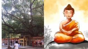 nagpur bodhi tree history Buddha purnima on the full moon day of Vaishakh