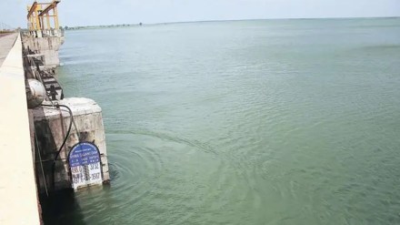 ujani dam water pollution