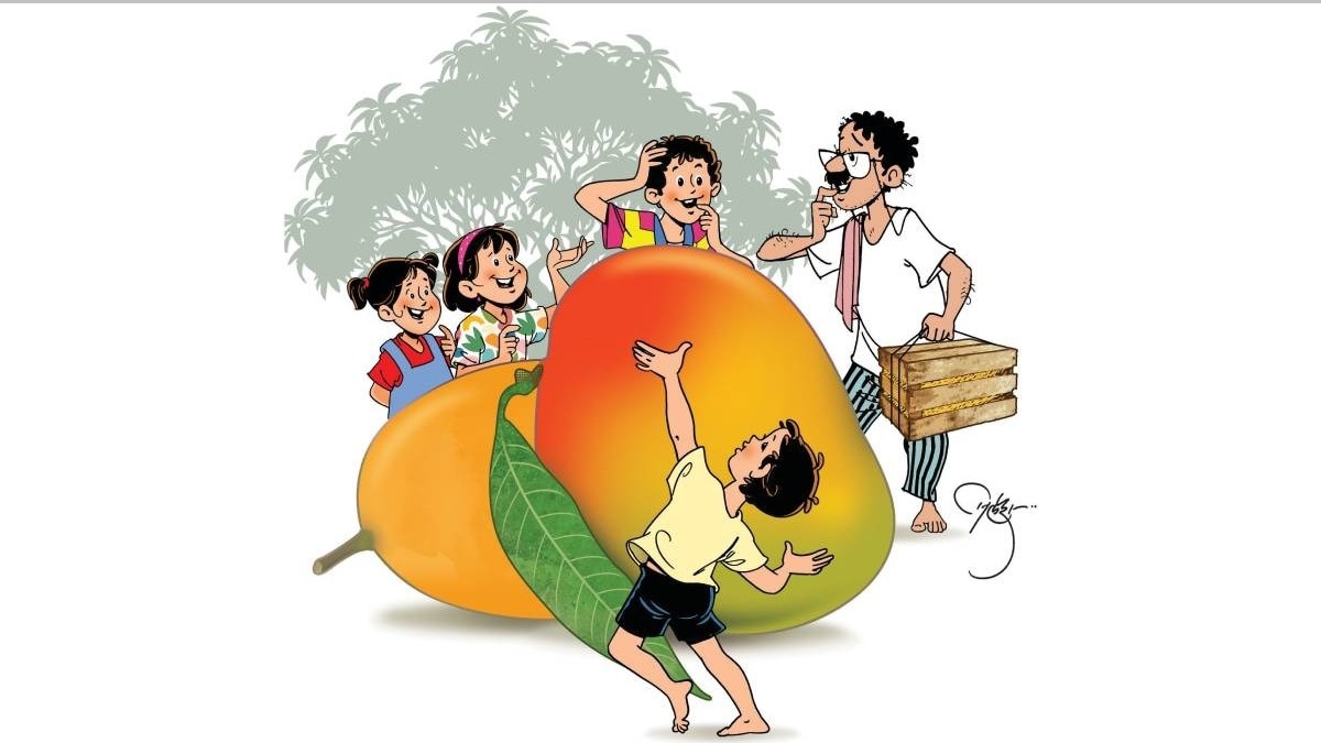 mango balmaifal article