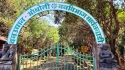 सुविधांअभावी थंड हवेचे ठिकाण आंबोली पर्यटकांविना ओस; आंबोली पावसाळी हंगामापुरते मर्यादीत पर्यटन स्थळ!