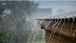 Raigad Rain Updates: रायगड जिल्ह्याला मुसळधार पावसाचा तडाखा, वीज पडून तरुणाचा मृत्यू, अतिवृष्टीमुळे जनजीवन विस्कळीत