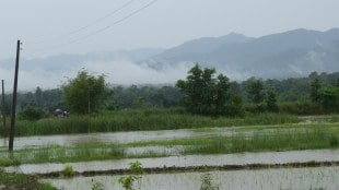 Pre-monsoon rain increased humidity in Marathwada Dr Dakhore urged farmers to delay sowing