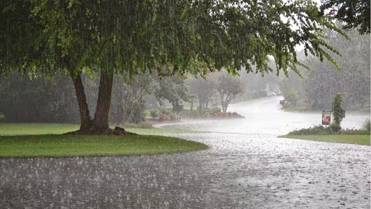 unseasonal rain in Marathwada