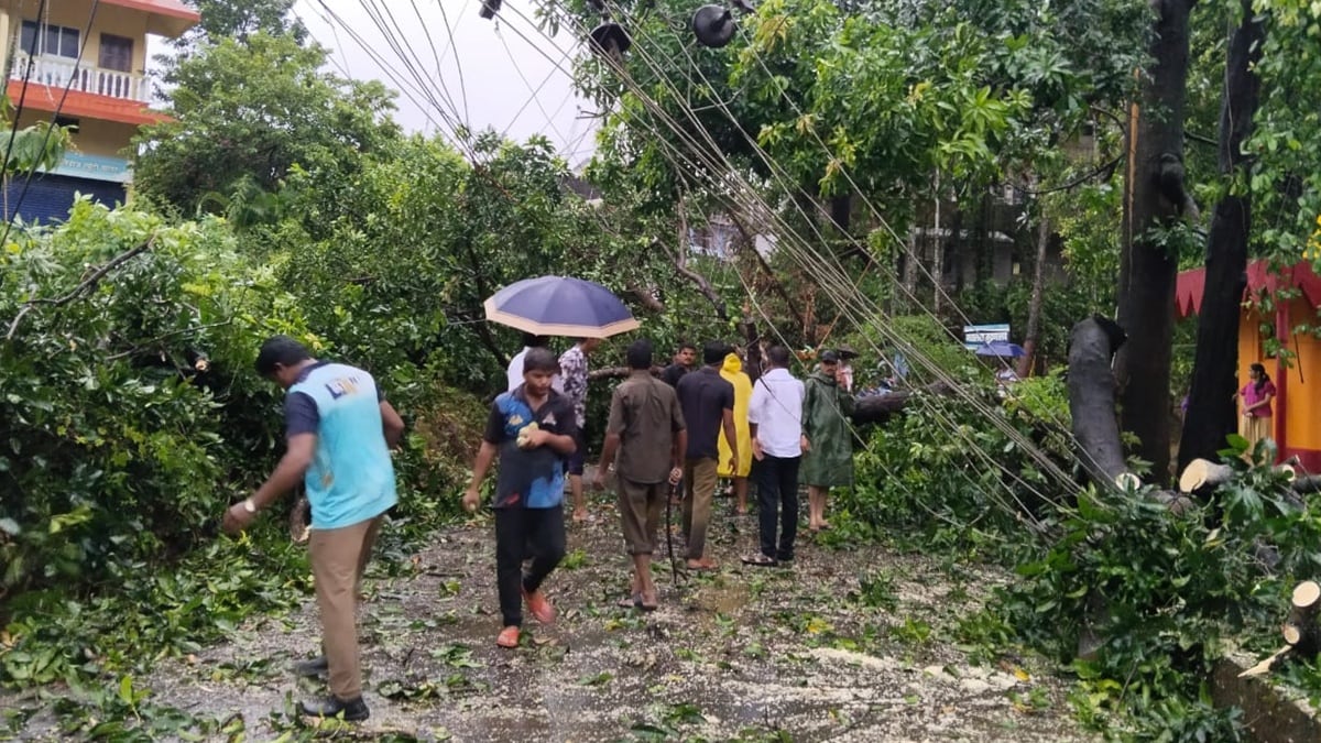 Sindhudurg Rain rice plant damage