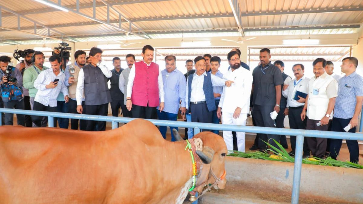 Kankavali devendra fadanvis statment Cow conservation is essential for natural agriculture