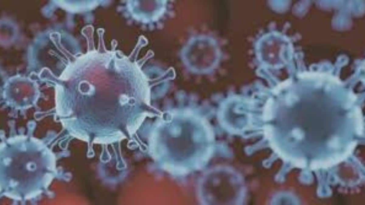 The number of COVID 19 cases in Kalyan Dombivli has risen to eight in the past six days