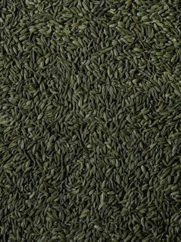 fennel seeds health benefits