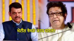 Maharashtra News LIVE Updates : राज ठाकरे, देवेंद्र फडणवीस भेट; कारण गुलदस्त्यात, तर्क-वितर्कांना उधाण