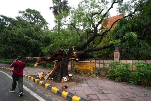 दिल्लीत पावसाने धुमाकूळ घातला, झाडे उन्मळून पडली, गाड्या पाण्याखाली गेल्या आणि जनजीवन अचानक ठप्प झाले. सोसाट्याच्या वाऱ्यांमुळे पायाभूत सुविधांचे नुकसान झाले. तर रस्ते पाण्याखाली जात आहेत. यंदा पाऊस लवकर आहे का? असा प्रश्न अनेकांना पडला आहे. (Image: PTI)