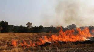 Cooking gas cylinder explosion in South Solapur destroys farm house