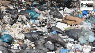 Kanjurmarg dumping ground, forest ,