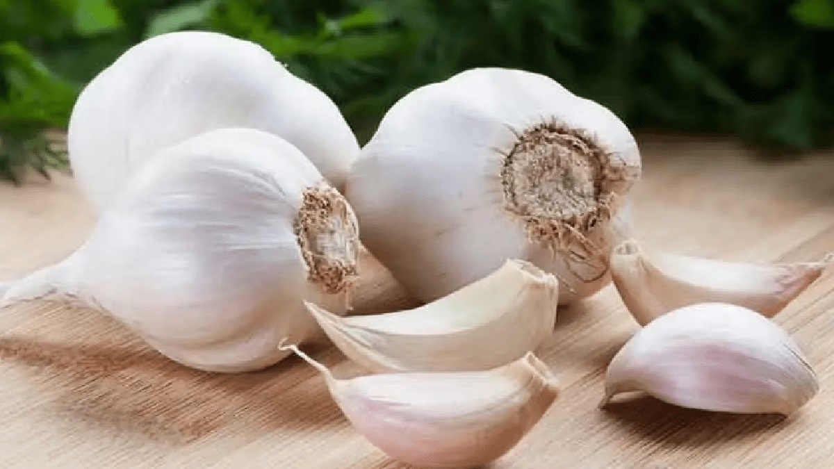 Garlic prices rise again garlic has increased by Rs 30 to 40