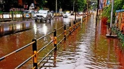 राज्यभरात पावसाची हजेरी, अनेक भागांत वळवाच्या सरी; पिकांचे नुकसान