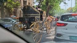 बेकायदेशीर घोडागाडी वापराप्रकरणी गुन्हा दाखल