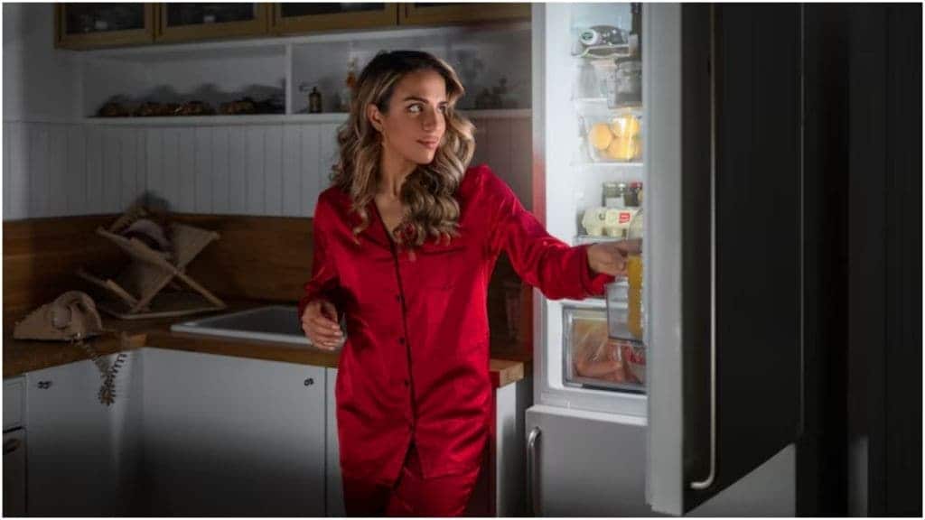 fridge care tips in summer