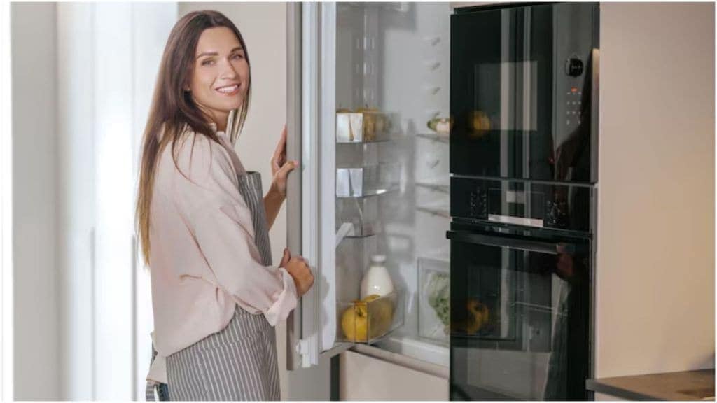 fridge care tips in summer