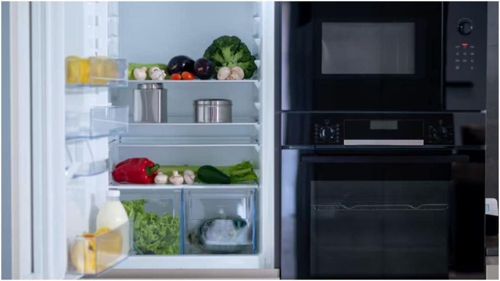 fridge care tips in summer
