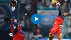 LSG vs RCB: जल्लोष तर होणारच! RCBच्या विजयानंतर जितेश शर्माचं आवेश खानसमोर ‘हेल्मेट’ सेलिब्रेशन; Video तुफान व्हायरल
