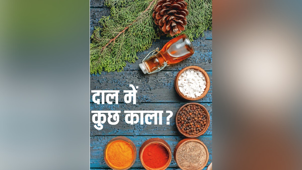 Loksatta chaturang Article by Chinmayi Deulgaonkar on World Food Safety Day regarding fake food products