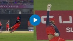 PBKS vs RCB: कॅच ऑफ द टूर्नामेंट? जितेश शर्माने घेतला ‘सुपरमॅन’ स्टाईल कॅच; पाहा VIDEO