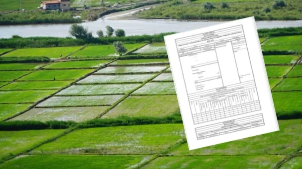 amravati jivant satbara record update by revenue department
