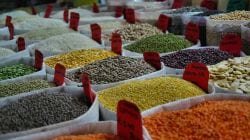 High-protein Dals for weight loss : वजन कमी करायचे असेल तर तुमच्या आहारात या डाळींचा समावेश करा, प्रोटिन्सची कमतरताही होईल दूर