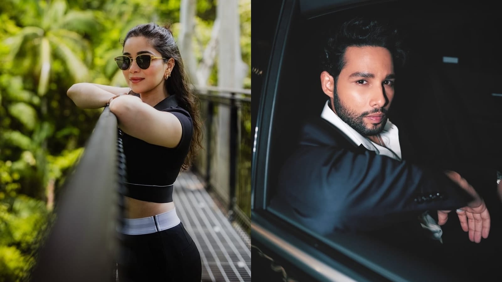 Sara Tendulkar and Siddhant Chaturvedi career and academics