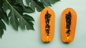 Foods to Avoid After Eating Papaya : पपई खाल्ल्यानंतर ‘हे’ 9 पदार्थ खाऊ नका, अन्यथा तुम्हाला पश्चाताप करावा लागू शकतो