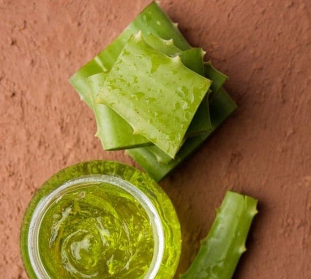 Aloe vera juice, gel, moisturizing cream, soap and powder powder