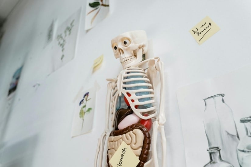 career in healthcare without MBBS