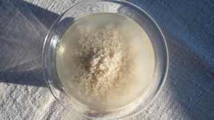 should you use rice water daily