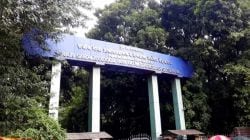 हरणांची गळालेली शिंगे नियमानुसार नष्ट