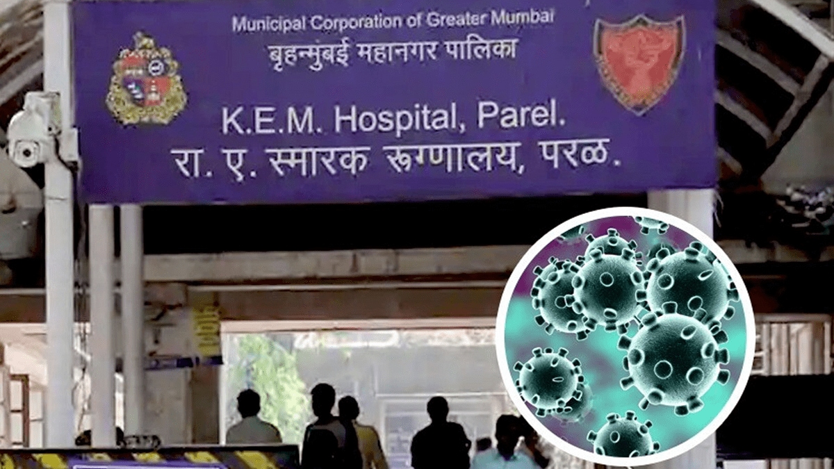 The deaths of patients at K.E.M. Hospital were not due to COVID, but because of serious other illnesses