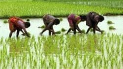 खरिपाच्या पेरण्या लांबणीवर?