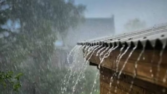 maharashtra Rain updates, Mumbai Rain updates, latest rain news