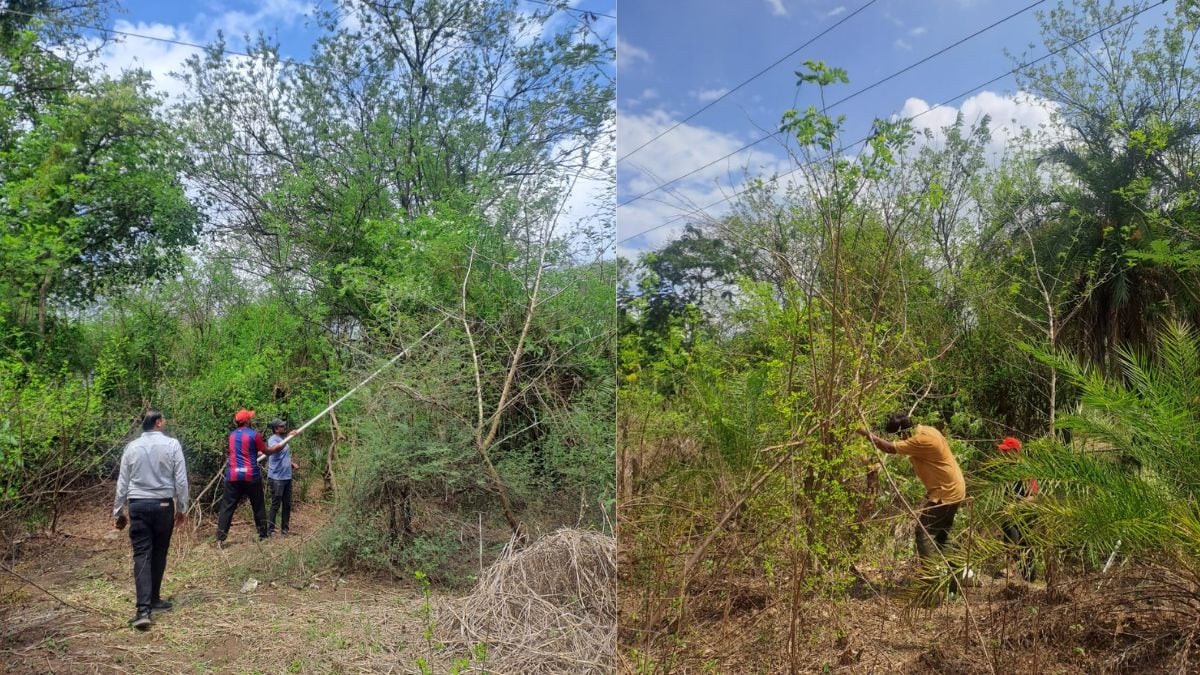 palghar Mahavitaran premonsoon works till May 31 delayed due to unseasonal rains